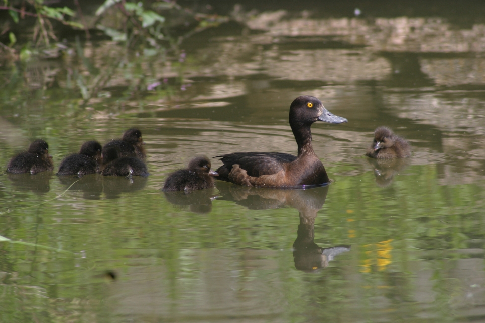 Latest Sightings